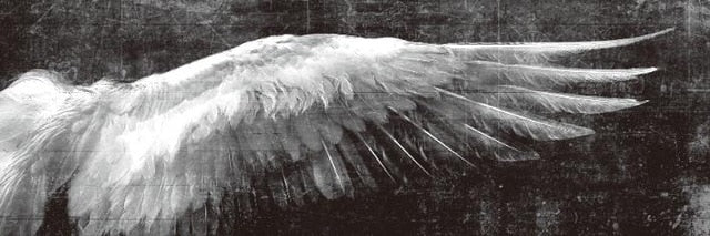 Wings Of An Angel Wall Art Vintage Fine Art Canvas Print Classic Feathers Posters For Living Room Bedroom Art Modern Home Interior Design