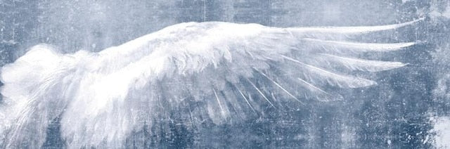 Wings Of An Angel Wall Art Vintage Fine Art Canvas Print Classic Feathers Posters For Living Room Bedroom Art Modern Home Interior Design
