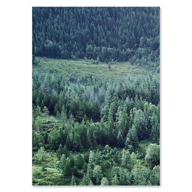 Nordic Woodland Mountain Glade Wilderness Wall Art Pictures Of Calm Fine Art Canvas Prints Modern Landscape Pictures For Home Office Wall Art Decor