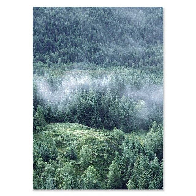 Nordic Woodland Mountain Glade Wilderness Wall Art Pictures Of Calm Fine Art Canvas Prints Modern Landscape Pictures For Home Office Wall Art Decor