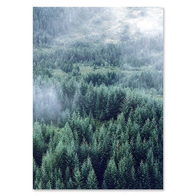 Nordic Woodland Mountain Glade Wilderness Wall Art Pictures Of Calm Fine Art Canvas Prints Modern Landscape Pictures For Home Office Wall Art Decor