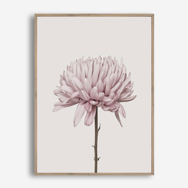Modern Minimalist Pink Peony Floral Wall Art Fine Art Canvas Prints Nordic Pictures For Contemporary Living Room Chic Bedroom Home Decor