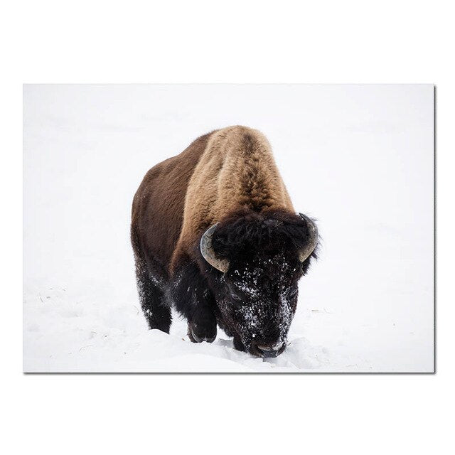 Forest Mountain Winter Wilderness Landscape Wall Art Far North Icy Lake Bison Log Cabin Travel Dreams Scandinavian Style Fine Art Canvas Prints