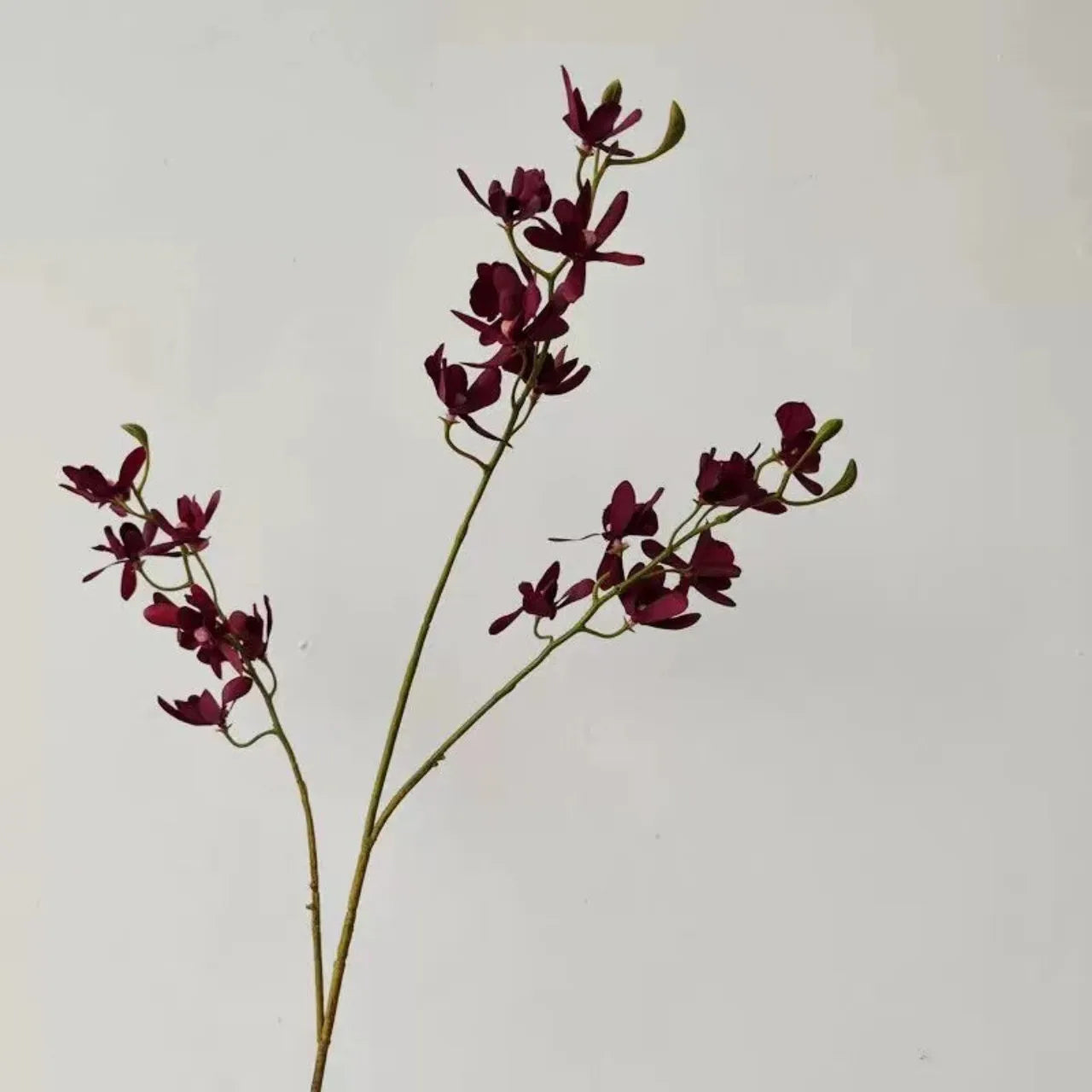 Artificial Orchid Plant – Realistic White Faux Orchid Branch for Modern Living Room, Bedroom, Luxury Salon Reception and Scandinavian Home Décor