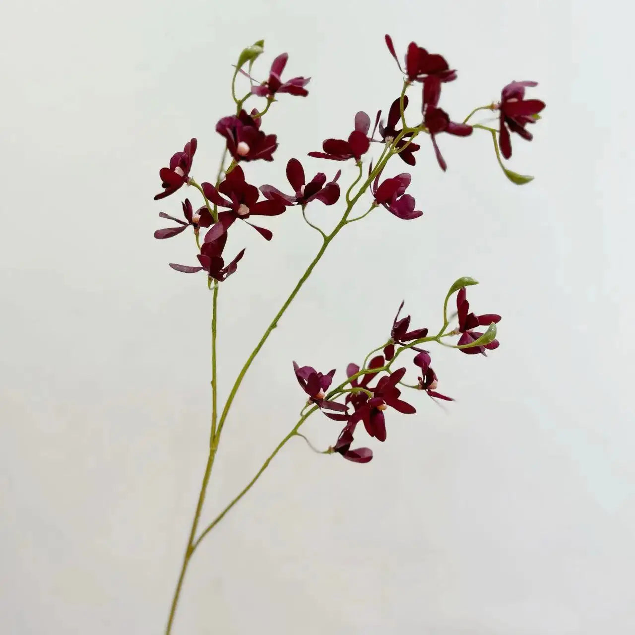 Artificial Orchid Plant – Realistic White Faux Orchid Branch for Modern Living Room, Bedroom, Luxury Salon Reception and Scandinavian Home Décor