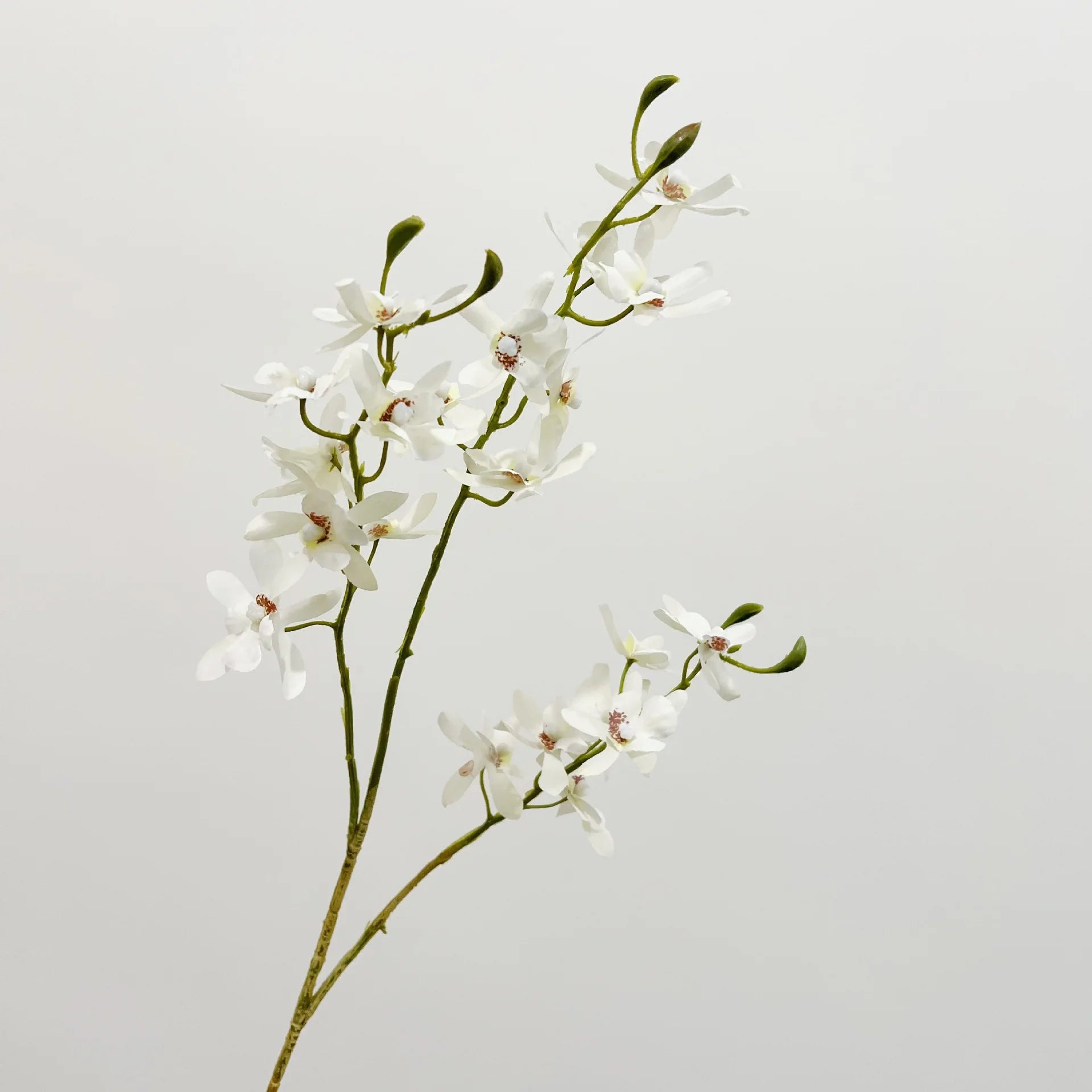 Artificial Orchid Plant – Realistic White Faux Orchid Branch for Modern Living Room, Bedroom, Luxury Salon Reception and Scandinavian Home Décor