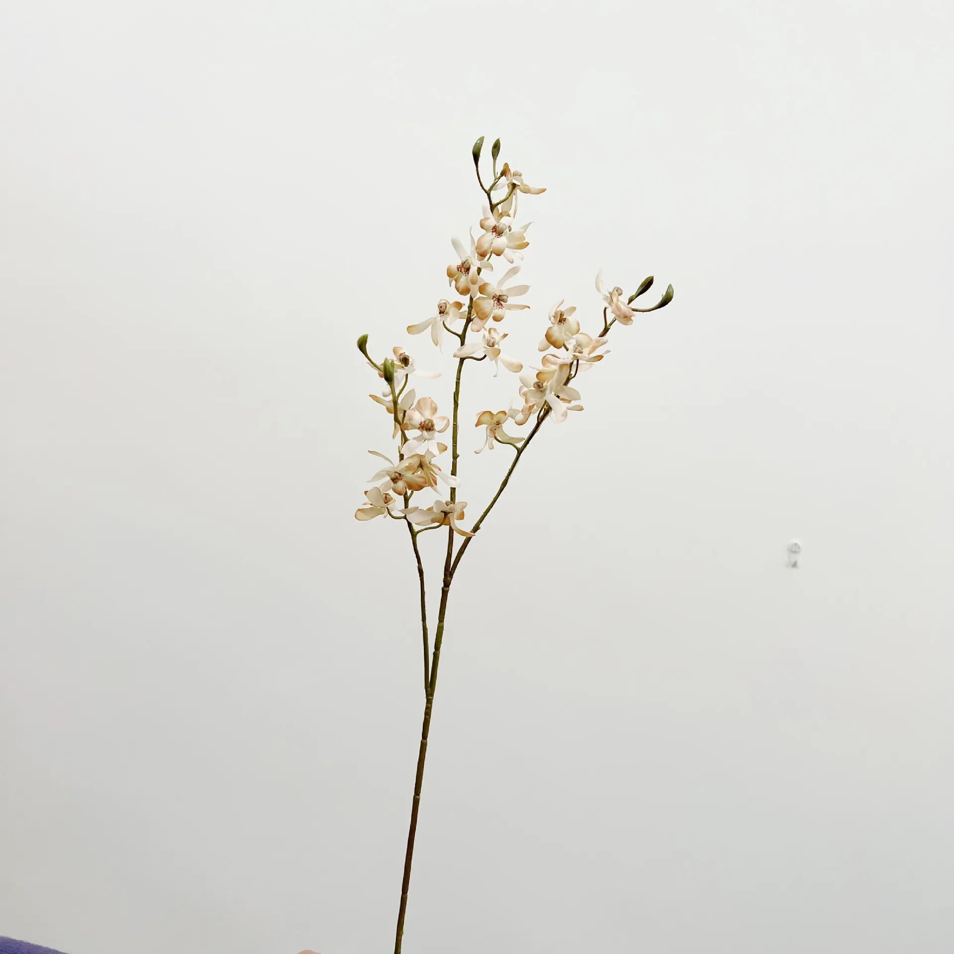 Artificial Orchid Plant – Realistic White Faux Orchid Branch for Modern Living Room, Bedroom, Luxury Salon Reception and Scandinavian Home Décor