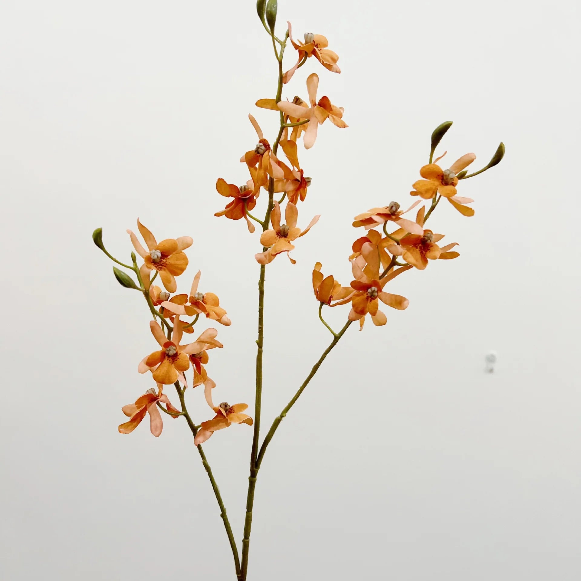 Artificial Orchid Plant – Realistic White Faux Orchid Branch for Modern Living Room, Bedroom, Luxury Salon Reception and Scandinavian Home Décor