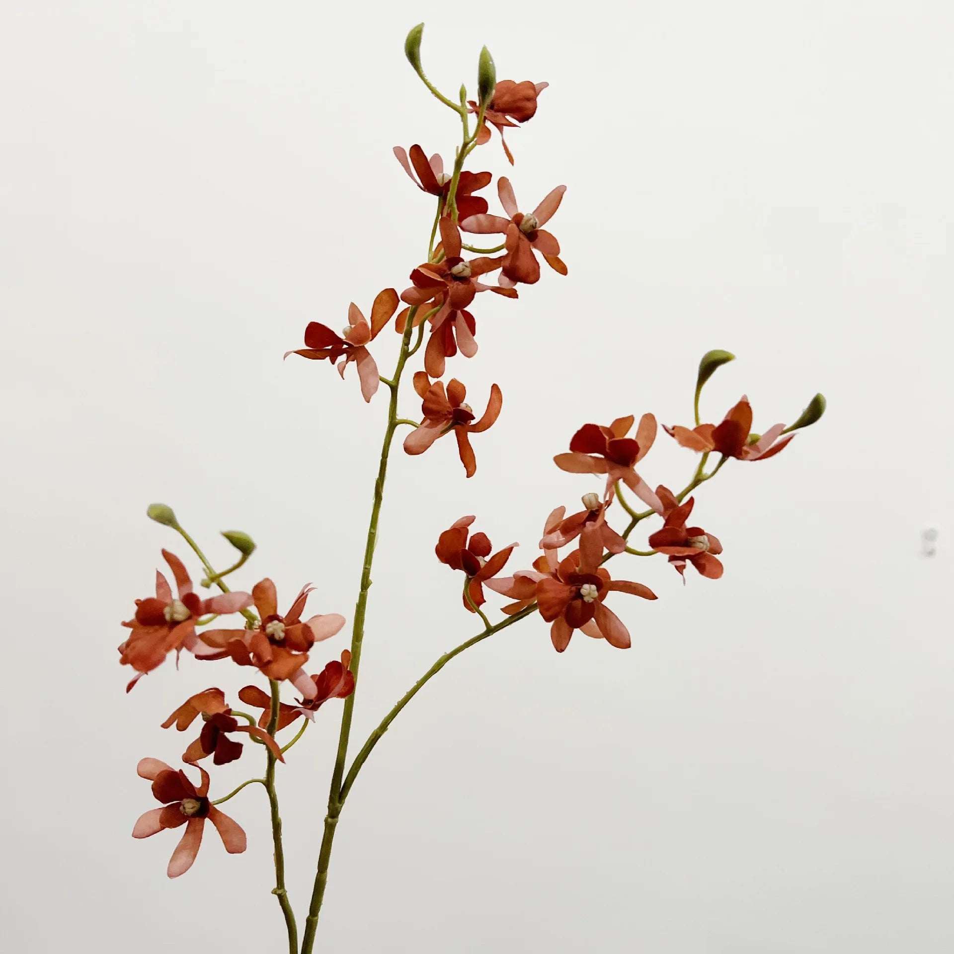 Artificial Orchid Plant – Realistic White Faux Orchid Branch for Modern Living Room, Bedroom, Luxury Salon Reception and Scandinavian Home Décor