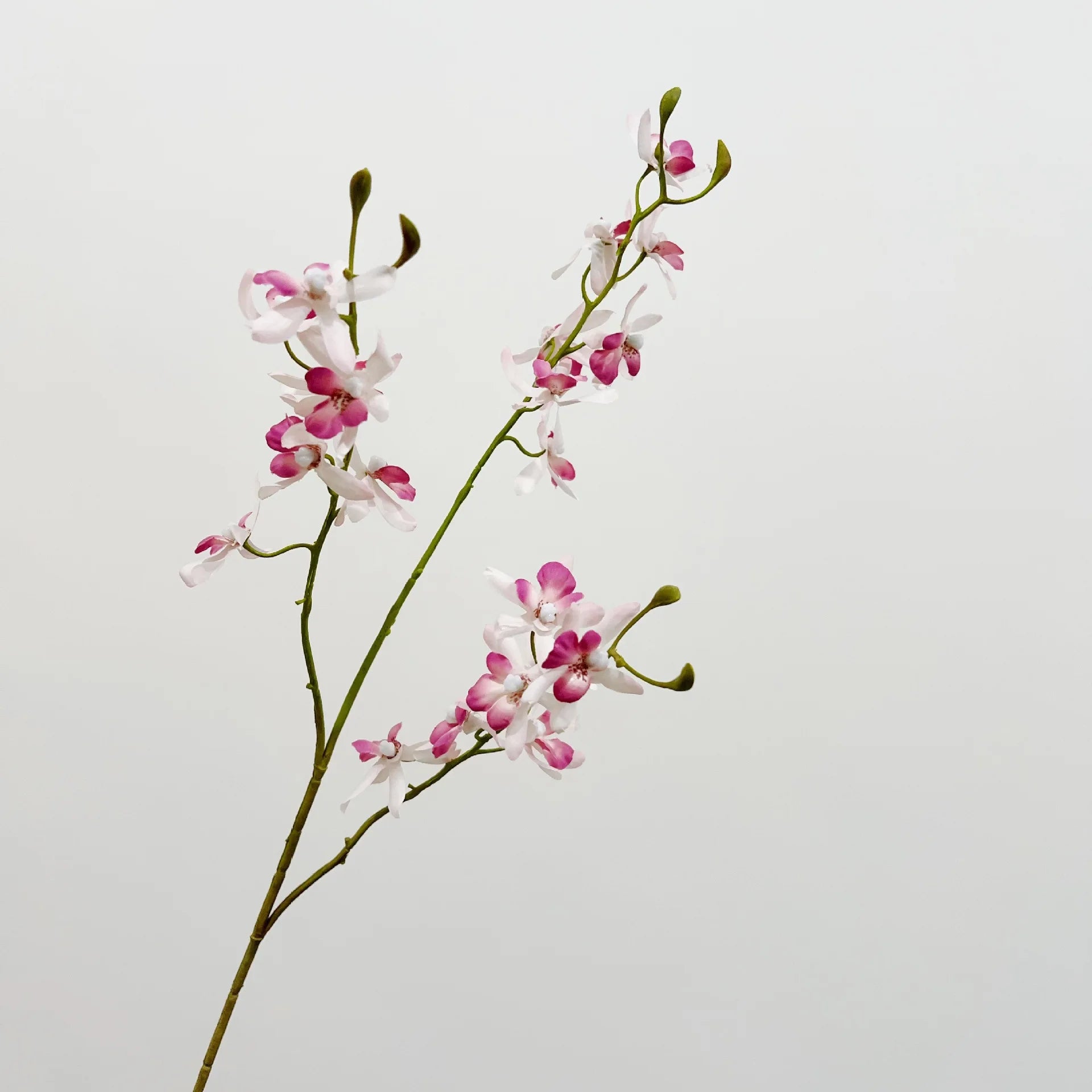 Artificial Orchid Plant – Realistic White Faux Orchid Branch for Modern Living Room, Bedroom, Luxury Salon Reception and Scandinavian Home Décor