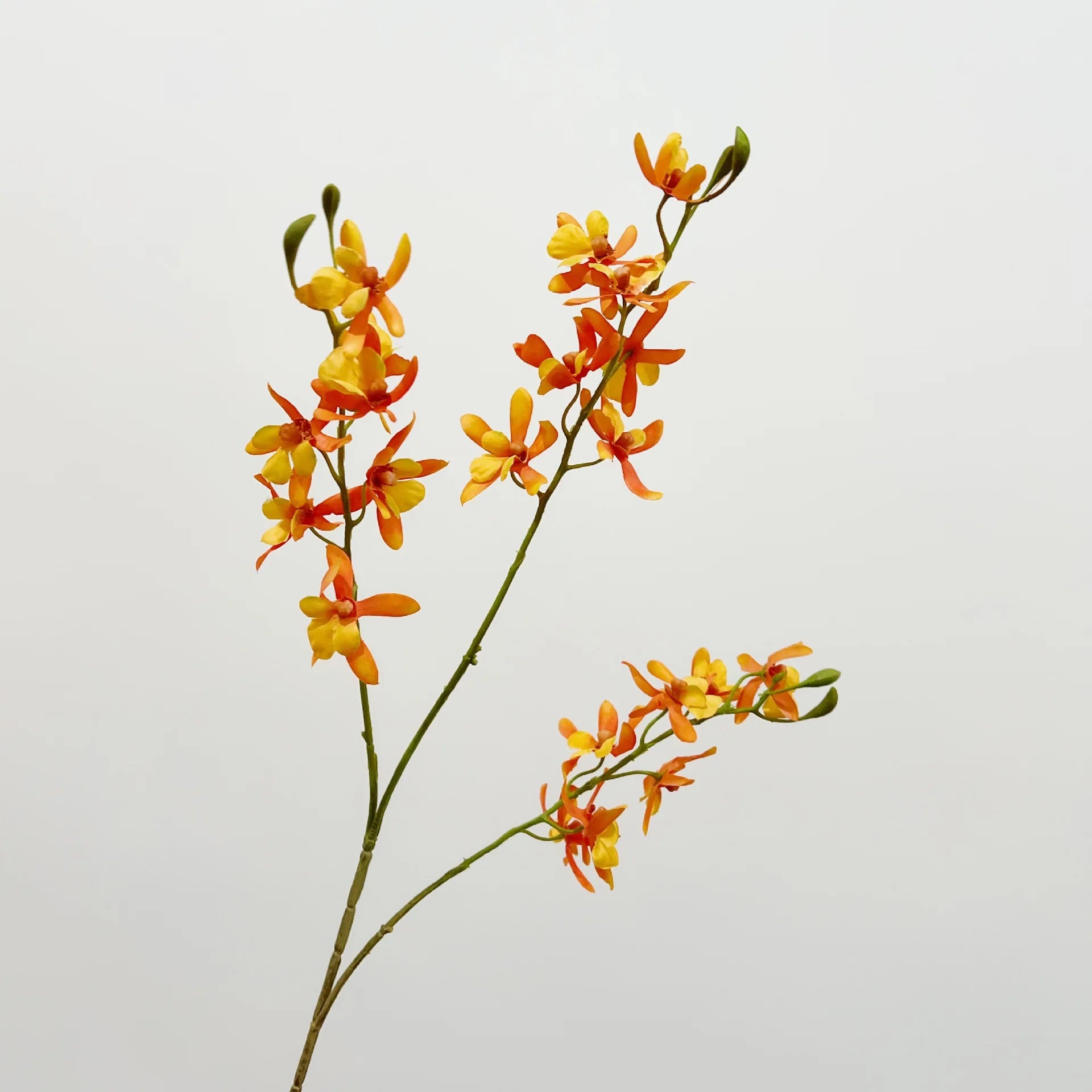 Artificial Orchid Plant – Realistic White Faux Orchid Branch for Modern Living Room, Bedroom, Luxury Salon Reception and Scandinavian Home Décor