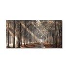 Autumn Sunshine Forest Wall Art Fine Art Canvas Print Natural Landscape Picture For Living Room Dining Room Scandinavian Home Decor