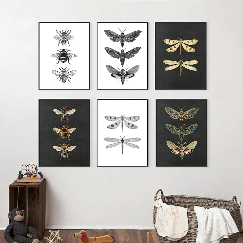 Bees Moths Dragonfly Flying Insect Vintage Specimen Posters Wall Art Fine Art Canvas Prints Minimalist Pictures For Living Room Office Dining Room Art Decor