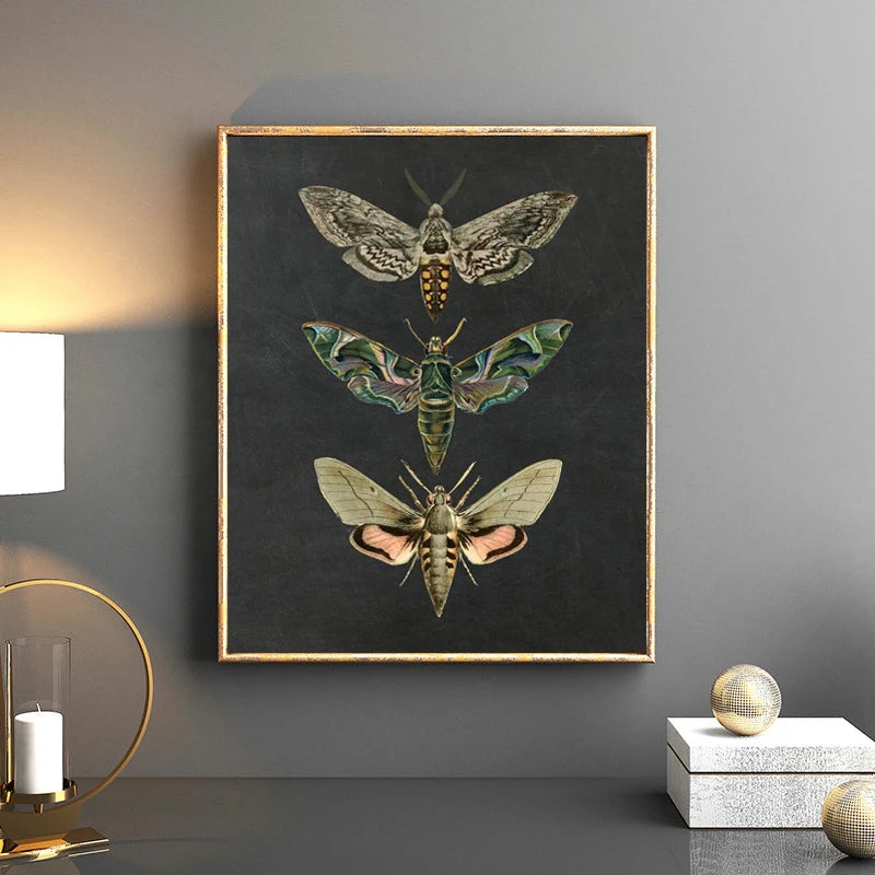 Bees Moths Dragonfly Flying Insect Vintage Specimen Posters Wall Art Fine Art Canvas Prints Minimalist Pictures For Living Room Office Dining Room Art Decor