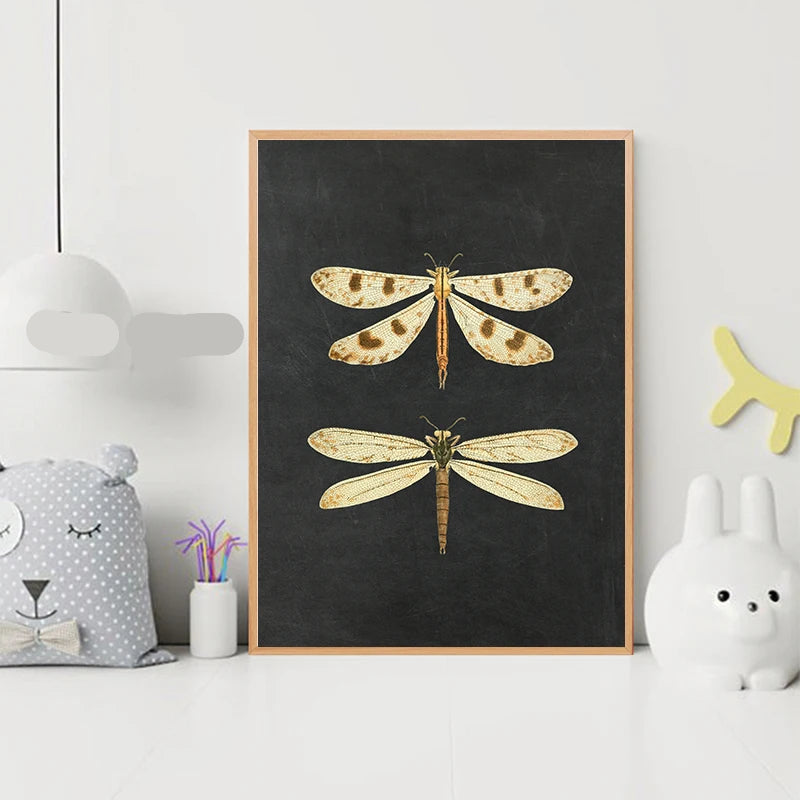 Bees Moths Dragonfly Flying Insect Vintage Specimen Posters Wall Art Fine Art Canvas Prints Minimalist Pictures For Living Room Office Dining Room Art Decor