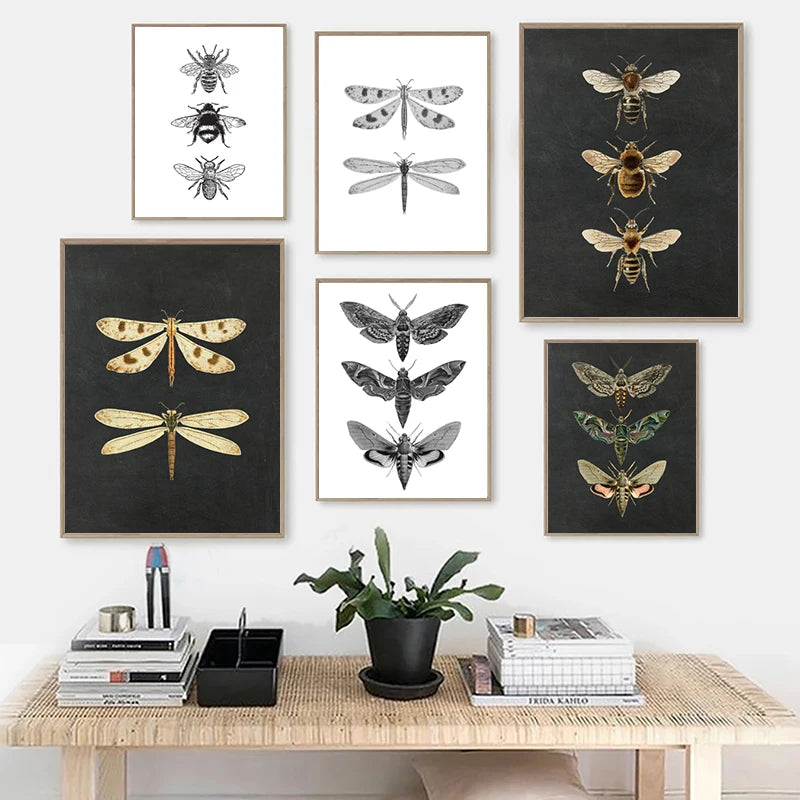 Bees Moths Dragonfly Flying Insect Vintage Specimen Posters Wall Art Fine Art Canvas Prints Minimalist Pictures For Living Room Office Dining Room Art Decor