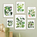 Classic Botanical Specimen Posters Green Leaves Wall Art Fine Art Canvas Prints Pictures For Kitchen Dining Room Living Room Decor 2025