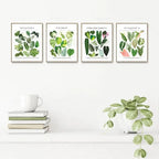 Classic Botanical Specimen Posters Green Leaves Wall Art Fine Art Canvas Prints Pictures For Kitchen Dining Room Living Room Decor 2025