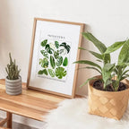 Classic Botanical Specimen Posters Green Leaves Wall Art Fine Art Canvas Prints Pictures For Kitchen Dining Room Living Room Decor 2025