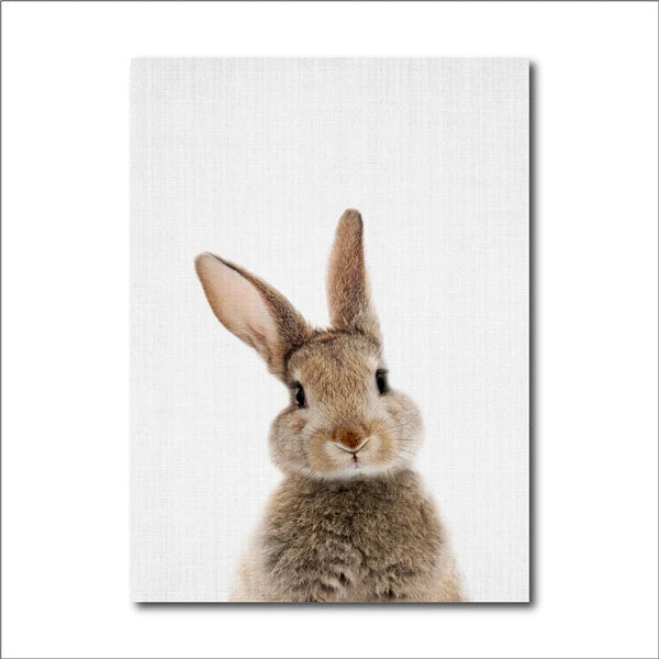 Cute Bunny Rabbit Photoshoot Poster Wall Art Fine Art Canvas Prints Baby Animal Pictures For Nursery Room Children's Room Wall Decor