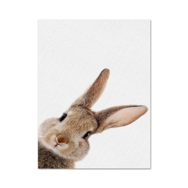 Cute Bunny Rabbit Photoshoot Poster Wall Art Fine Art Canvas Prints Baby Animal Pictures For Nursery Room Children's Room Wall Decor