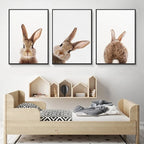 Cute Bunny Rabbit Photoshoot Poster Wall Art Fine Art Canvas Prints Baby Animal Pictures For Nursery Room Children's Room Wall Decor
