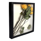 Preserved yellow roses in a black shadow box frame.
