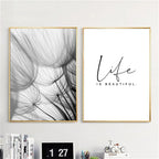 Delicate Dandelions Inspirational Black White Wall Art Fine Art Canvas Prints Lifestyle Pictures Of Calm For Modern Apartment Living Room Bedroom Art Decor
