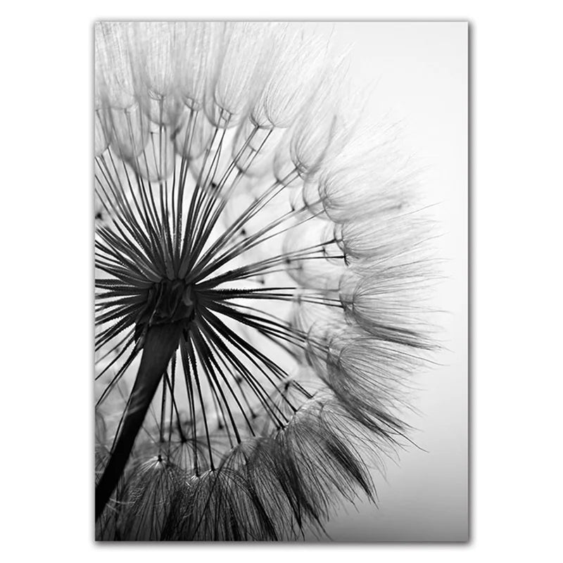 Delicate Dandelions Inspirational Black White Wall Art Fine Art Canvas Prints Lifestyle Pictures Of Calm For Modern Apartment Living Room Bedroom Art Decor 2025