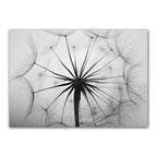 Delicate Dandelions Inspirational Black White Wall Art Fine Art Canvas Prints Lifestyle Pictures Of Calm For Modern Apartment Living Room Bedroom Art Decor 2025