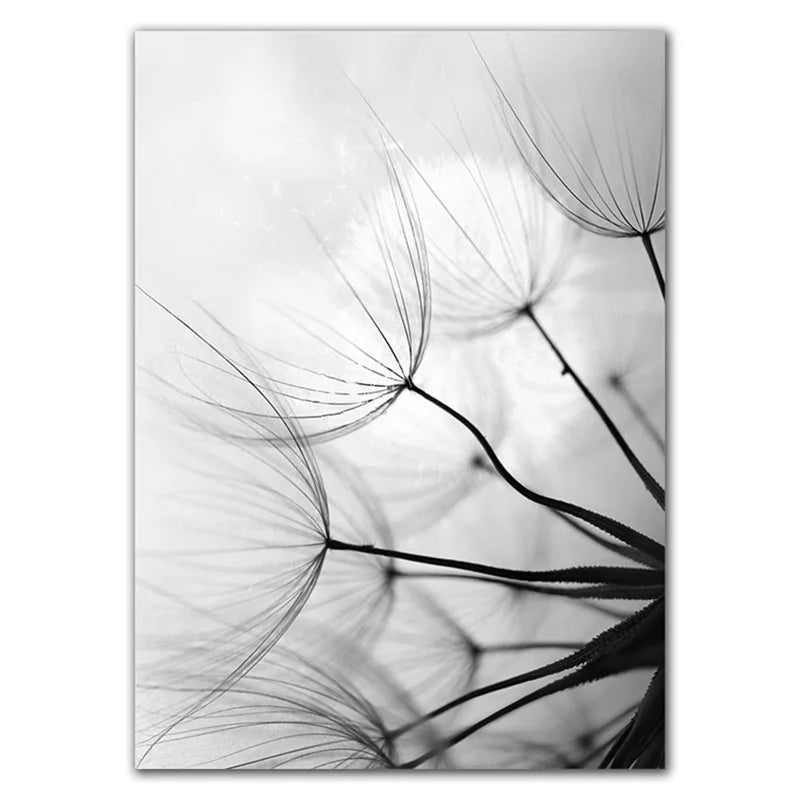 Delicate Dandelions Inspirational Black White Wall Art Fine Art Canvas Prints Lifestyle Pictures Of Calm For Modern Apartment Living Room Bedroom Art Decor 2025