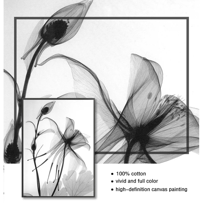 Exotic Floral Minimalist Black White Wall Art Fine Art Canvas Prints Modern Botanical Pictures For Living Dining Room Home Office Decor