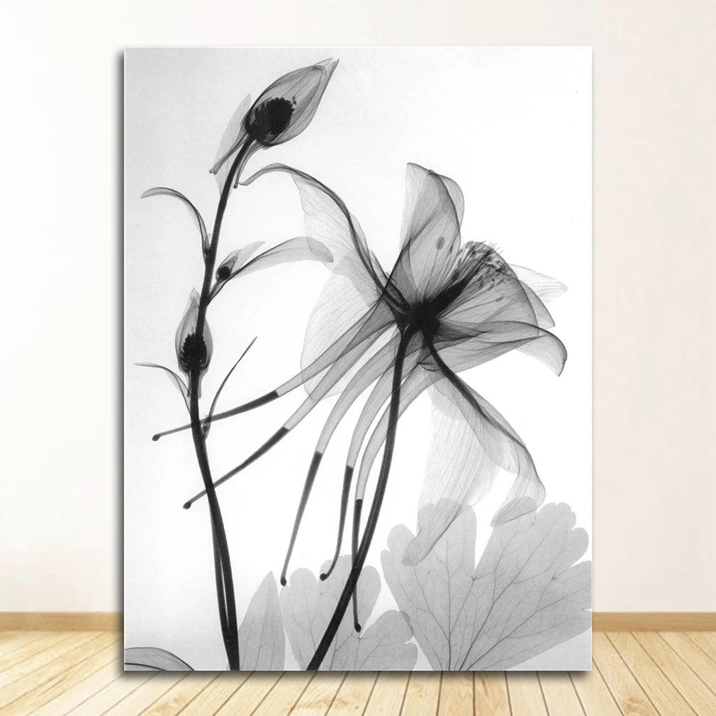 Exotic Floral Minimalist Black White Wall Art Fine Art Canvas Prints Modern Botanical Pictures For Living Dining Room Home Office Decor