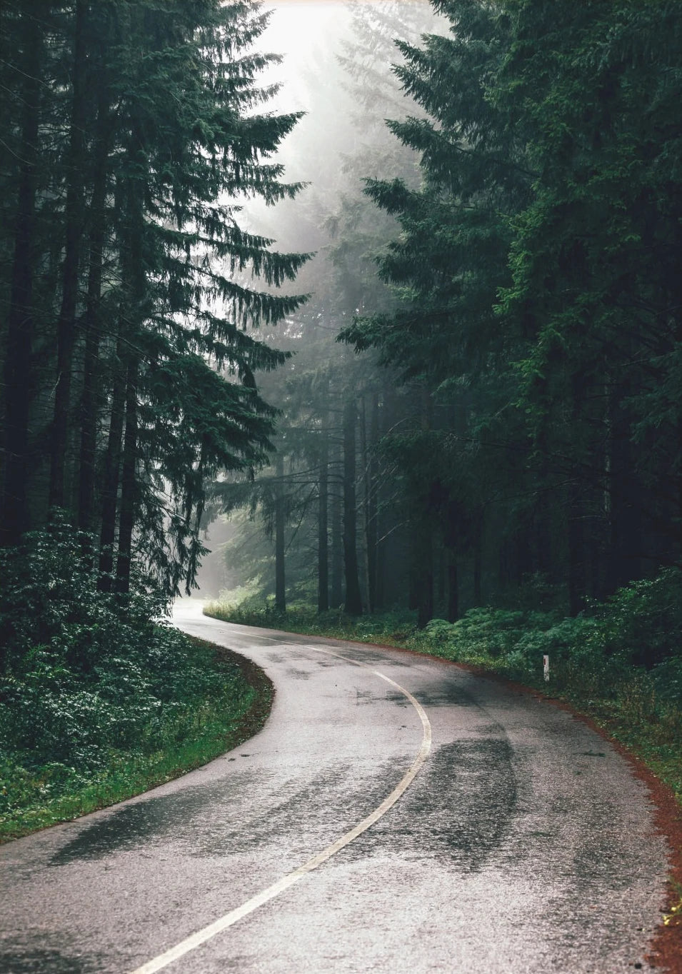 Green Mountain Misty Forest Wilderness Wall Art Fine Art Canvas Prints Modern Landscape Pictures Of Calm For Living Room Dining Room Home Decor 2025