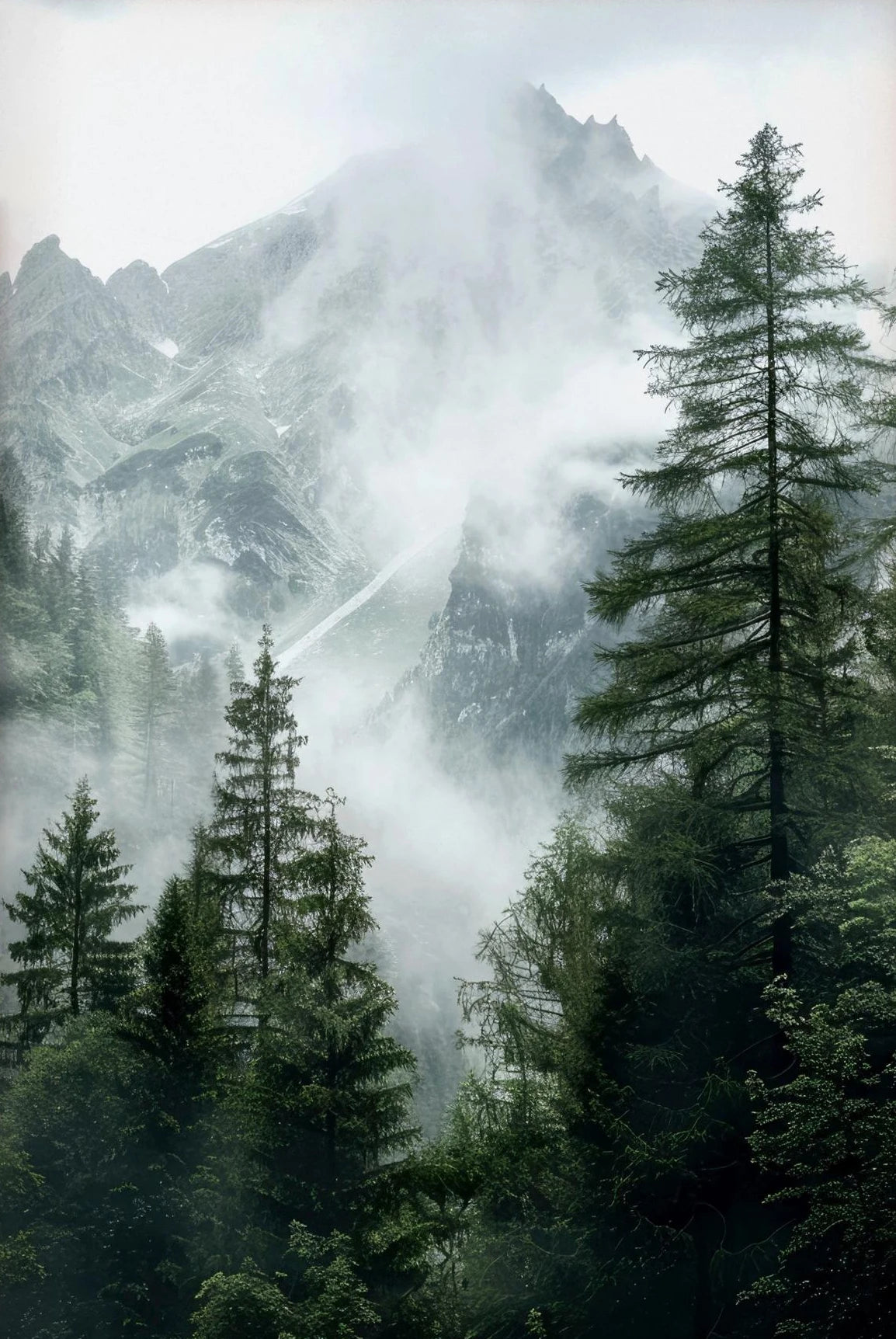 Green Mountain Misty Forest Wilderness Wall Art Fine Art Canvas Prints Modern Landscape Pictures Of Calm For Living Room Dining Room Home Decor 2025