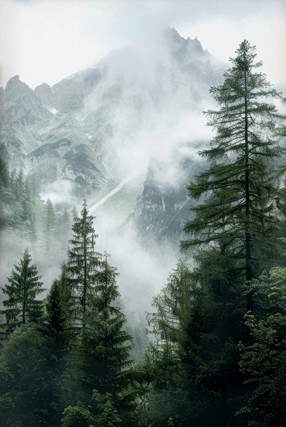 Green Mountain Misty Forest Wilderness Wall Art Fine Art Canvas Prints Modern Landscape Pictures Of Calm For Living Room Dining Room Home Decor 2025