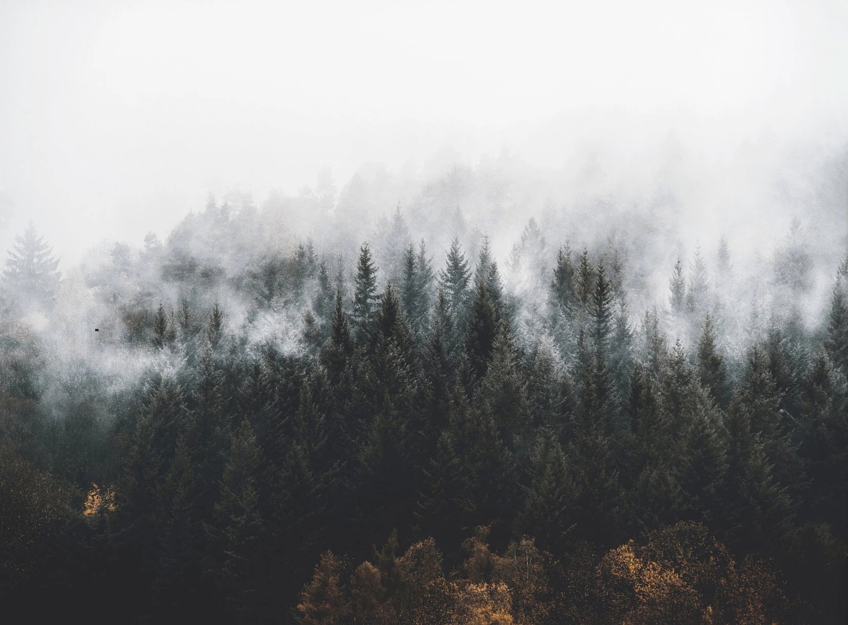 Green Mountain Misty Forest Wilderness Wall Art Fine Art Canvas Prints Modern Landscape Pictures Of Calm For Living Room Dining Room Home Decor 2025