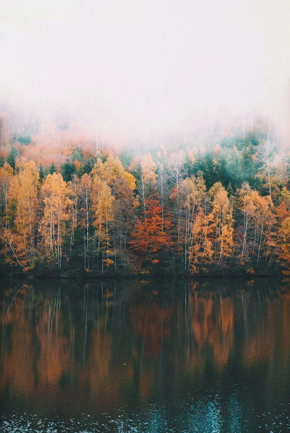 Green Mountain Misty Forest Wilderness Wall Art Fine Art Canvas Prints Modern Landscape Pictures Of Calm For Living Room Dining Room Home Decor 2025