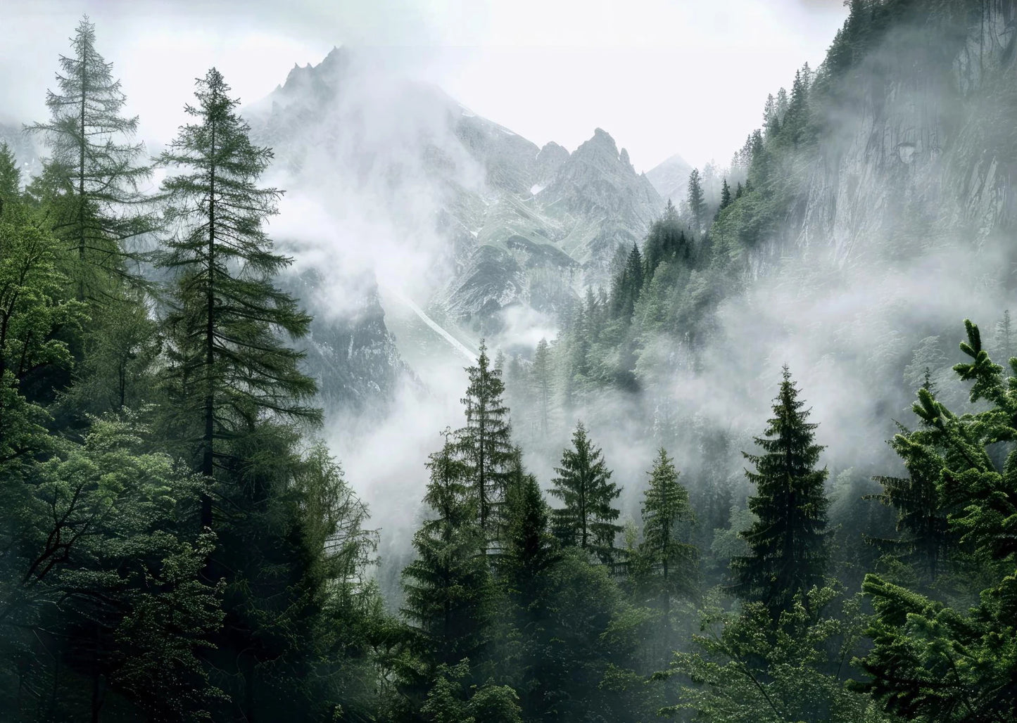 Green Mountain Misty Forest Wilderness Wall Art Fine Art Canvas Prints Modern Landscape Pictures Of Calm For Living Room Dining Room Home Decor 2025