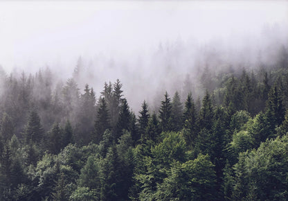 Green Mountain Misty Forest Wilderness Wall Art Fine Art Canvas Prints Modern Landscape Pictures Of Calm For Living Room Dining Room Home Decor 2025