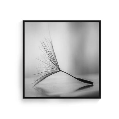 Delicate Dandelion Minimalist Black White Wall Art Fine Art Canvas Prints Square Format Pictures For Simple Living Room Bedroom Art Decor