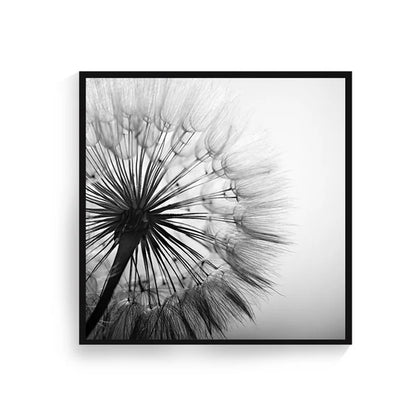 Delicate Dandelion Minimalist Black White Wall Art Fine Art Canvas Prints Square Format Pictures For Simple Living Room Bedroom Art Decor