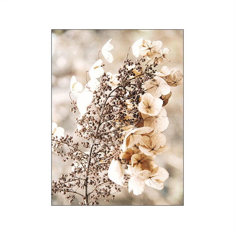 Summer Fields Morning Sunshine Wall Art Fine Art Canvas Prints Simple Lifestyle Landscape Pictures Of Nature For Living Room Decor