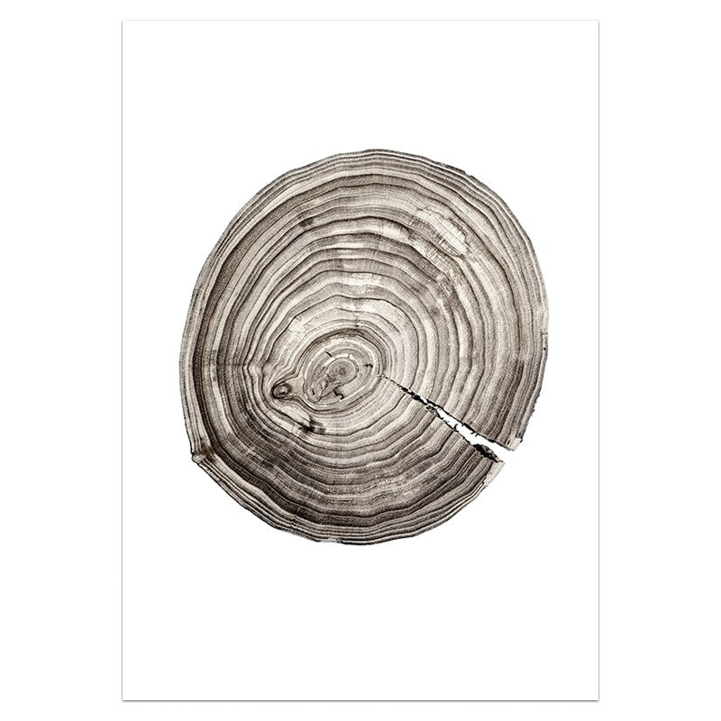 Scandinavian Forest Landscape Wall Art Fine Art Rustic Nordic Nature Tree Rings Deer Canvas Wood Prints Minimalist Pictures For Modern Country Home Decor