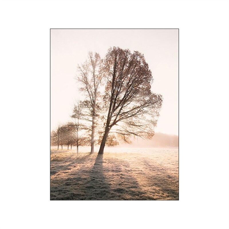 Summer Fields Morning Sunshine Wall Art Fine Art Canvas Prints Simple Lifestyle Landscape Pictures Of Nature For Living Room Decor