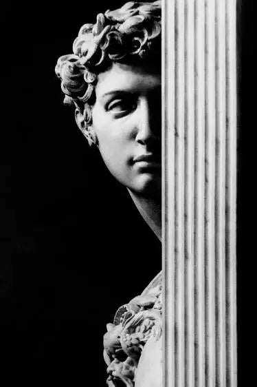 Classical Renaissance Sculpture Michelangelo David Statue Wall Art Fine Art Canvas Print Black &amp; White Picture For Living Room Home Office Decor