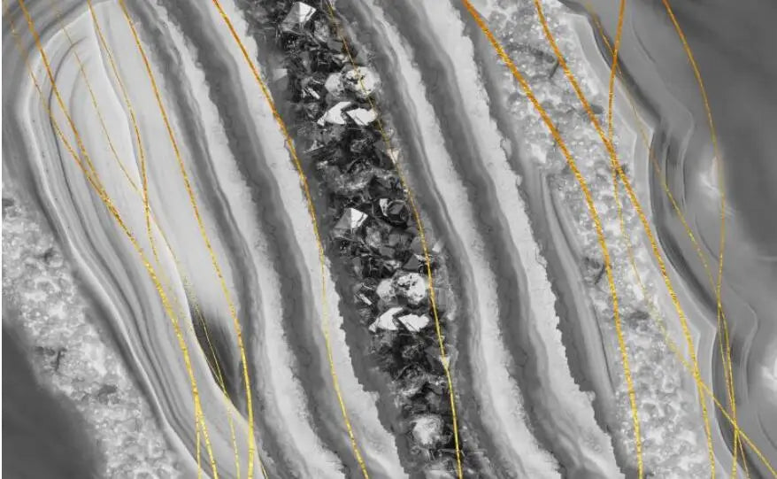 47865387843863|47865387876631|47865387909399|47865387942167