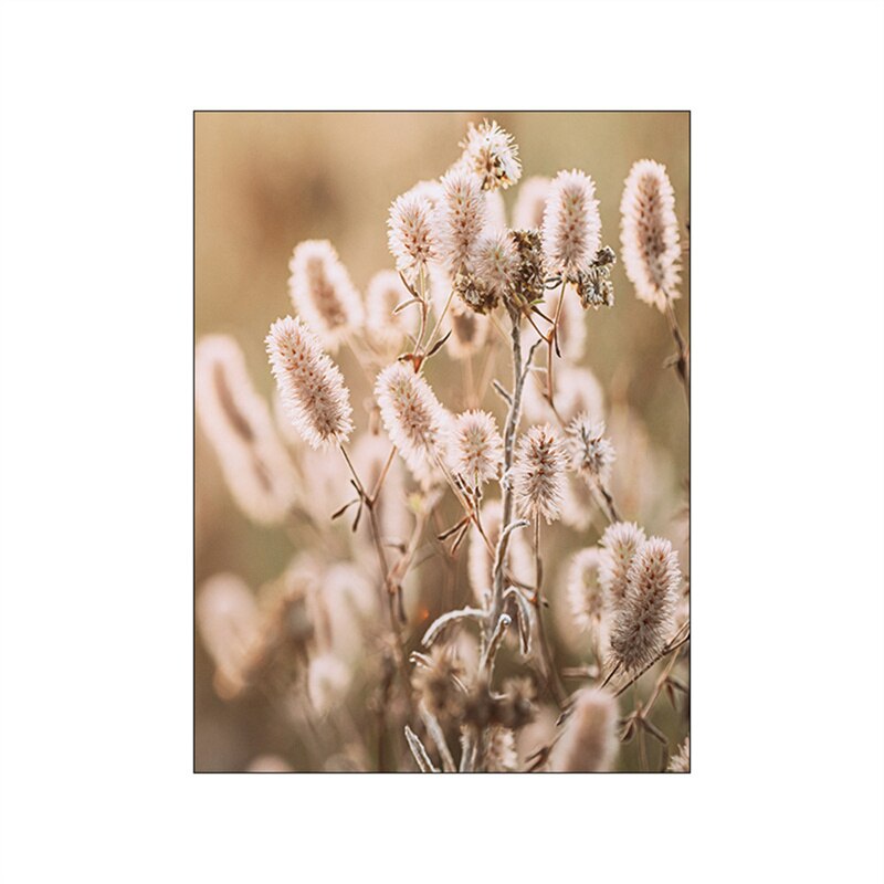 Summer Fields Morning Sunshine Wall Art Fine Art Canvas Prints Simple Lifestyle Landscape Pictures Of Nature For Living Room Decor