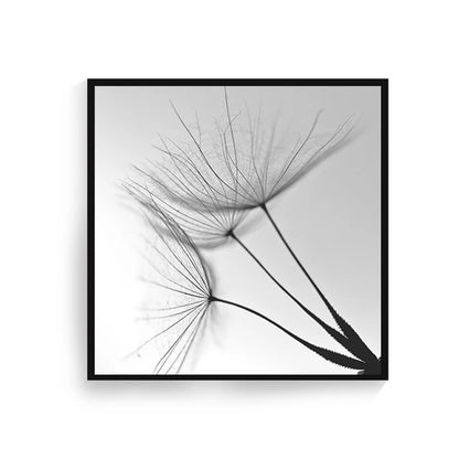 Delicate Dandelion Minimalist Black White Wall Art Fine Art Canvas Prints Square Format Pictures For Simple Living Room Bedroom Art Decor