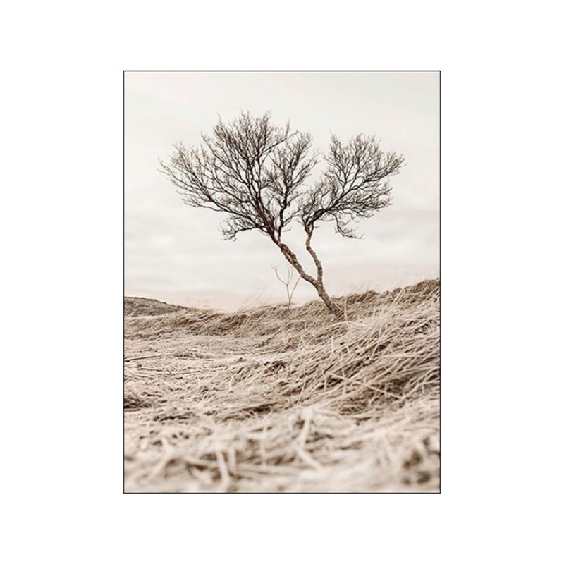 Dandelion Beach Sunset Simple Landscape Wall Art Fine Art Canvas Prints Lifestyle Pictures Of Nature For Living Room Bedroom Decor